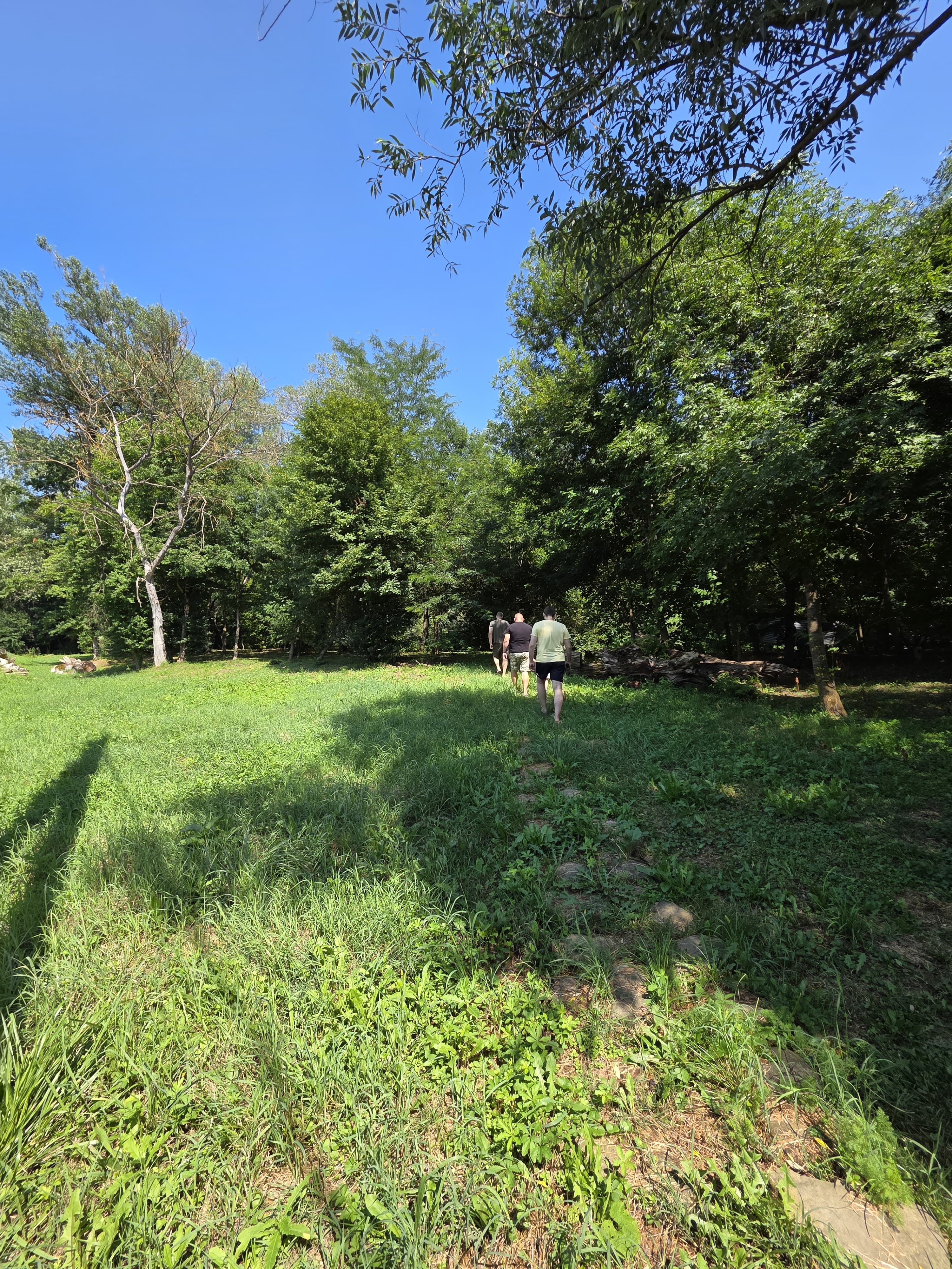 Фото Forest__loft