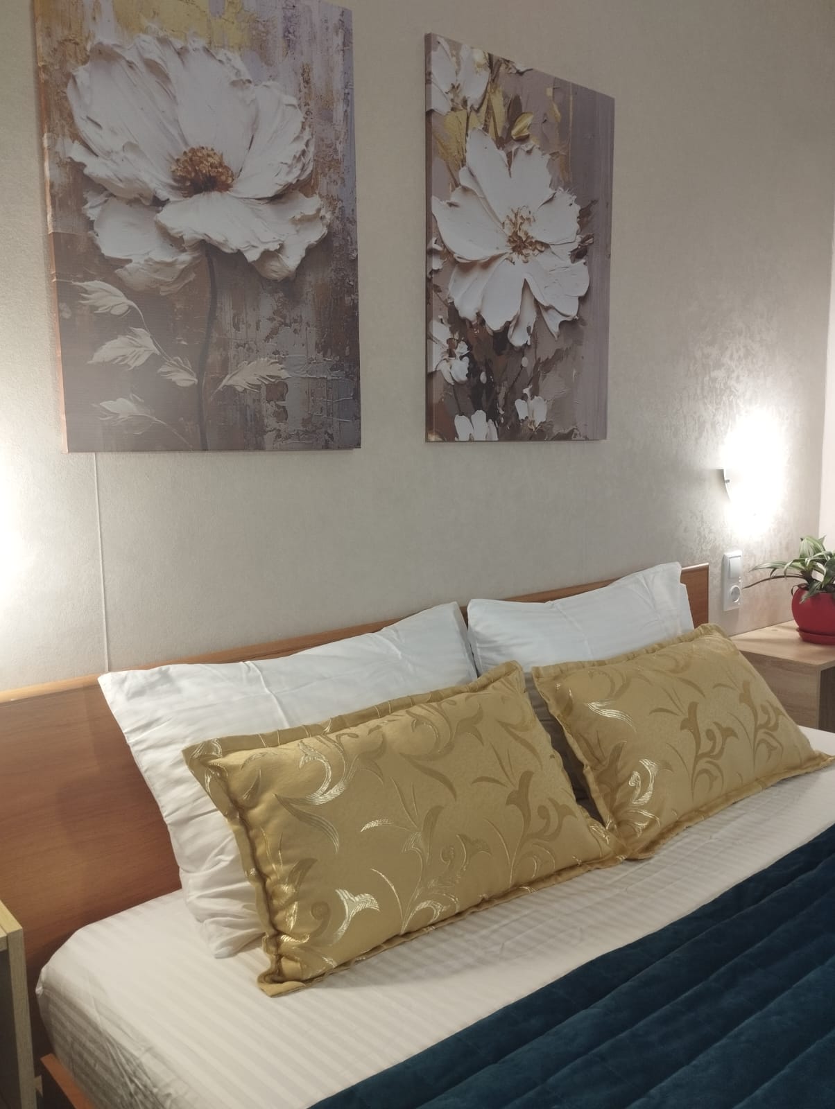 Фото Электрогорск Центральный