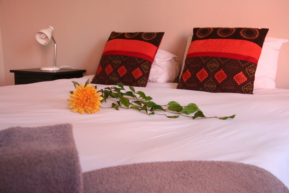 Фото Dunedin Star Guesthouse