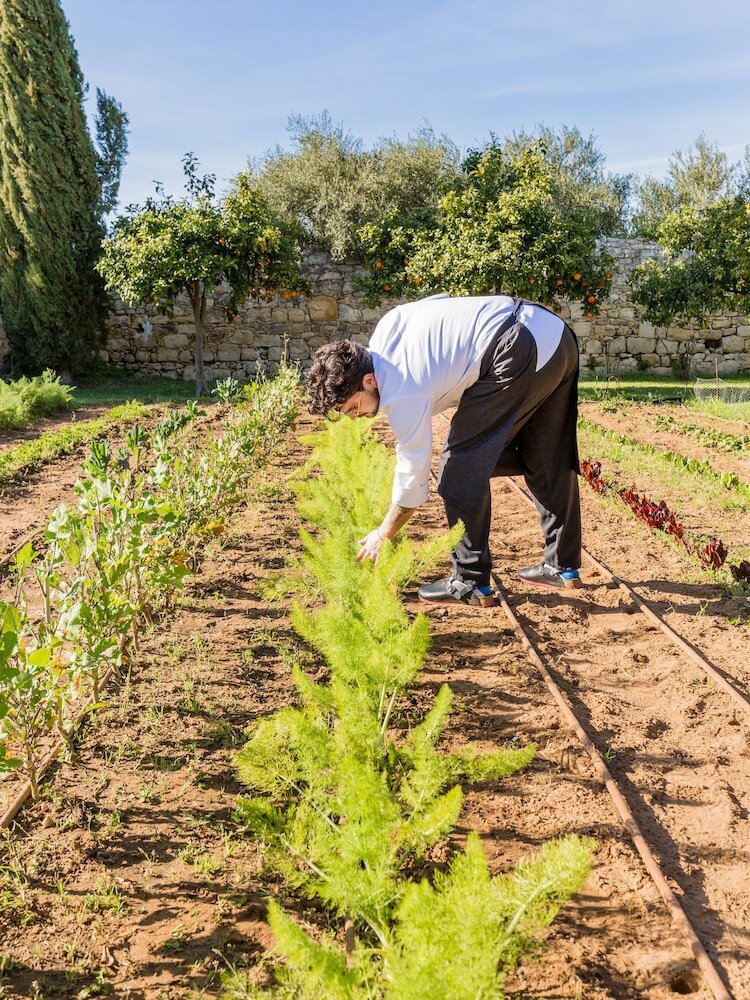 Фото Baglio Occhipinti