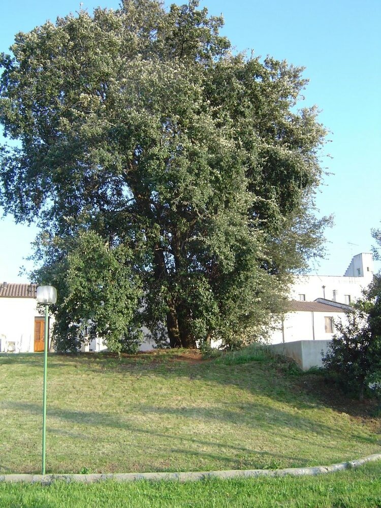 Фото Hotel Masseria Fabrizio