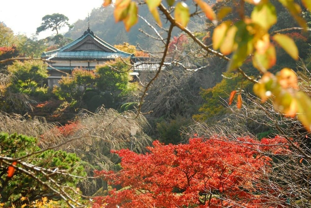 Фото Hakone Kowakien Mikawaya Ryokan