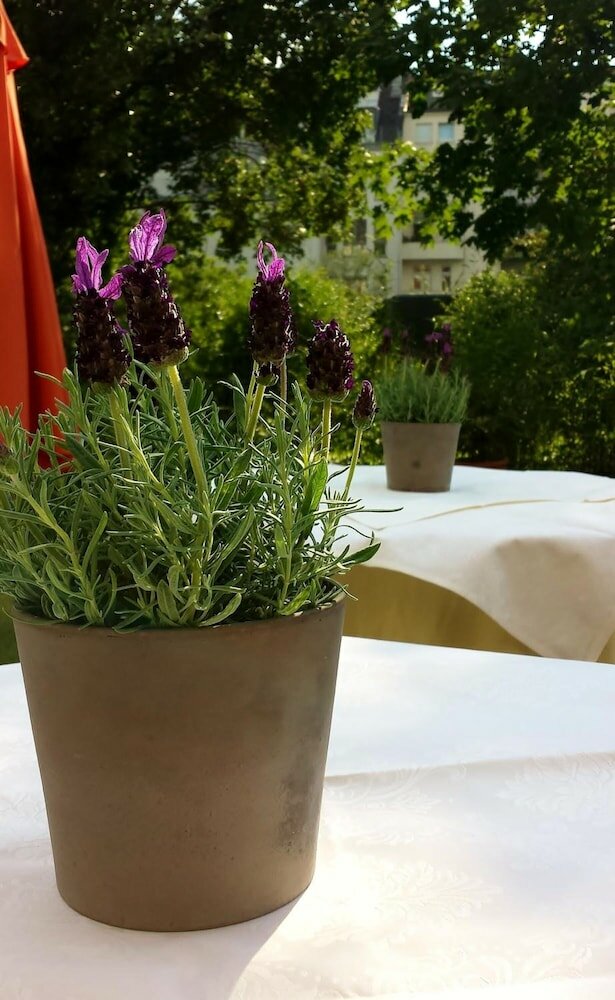 Фото Hotel MinGarden