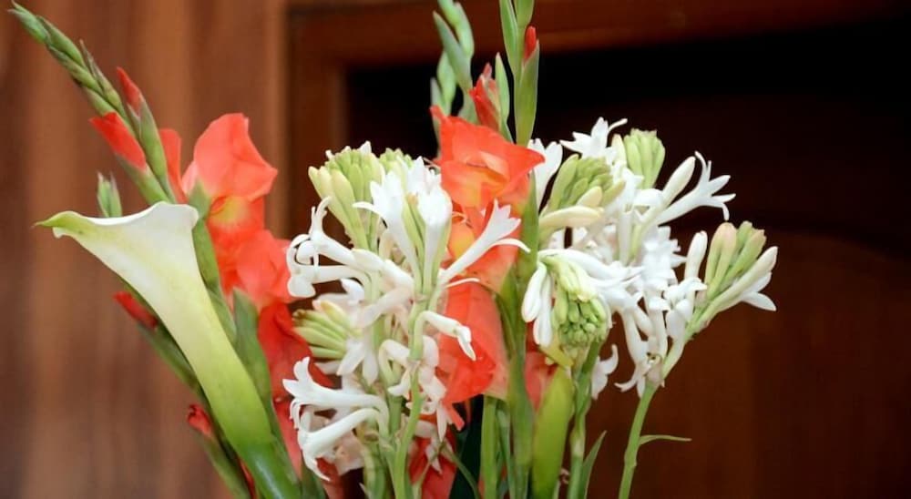 Фото La Posh Hotel