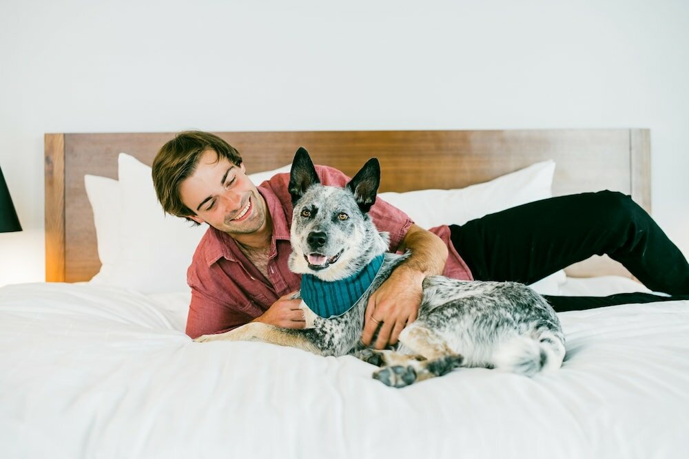 Фото The Maven Hotel at Dairy Block