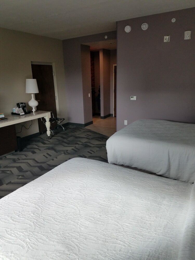 Фото Hilton Garden Inn Tampa Suncoast Parkway