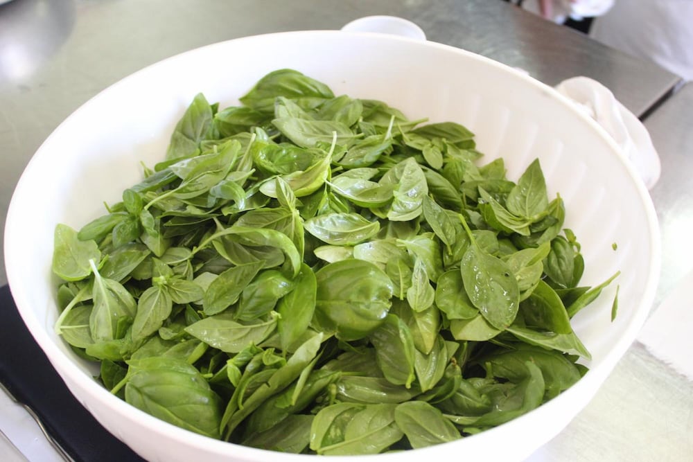 Фото La Filadelfia