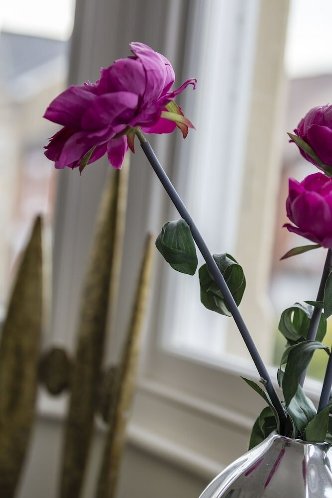 Фото Ethos Hotel