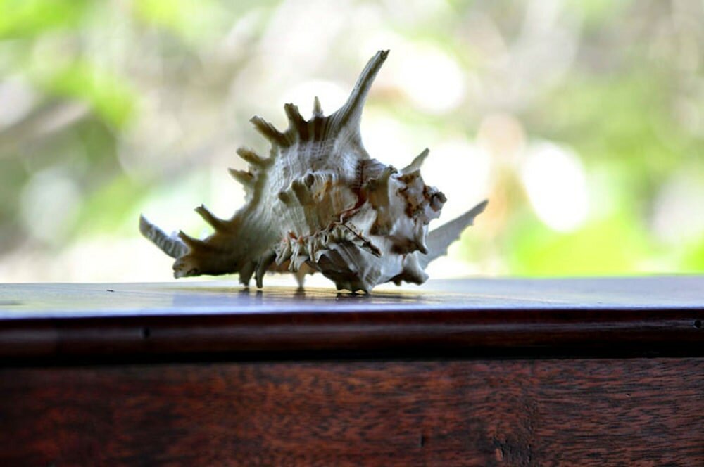 Фото Sejuk Beach Villas