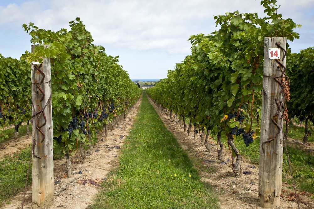 Фото The Charles Hotel