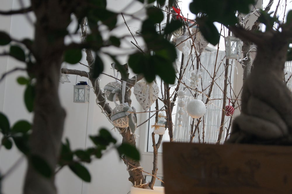 Фото La Bella Trani