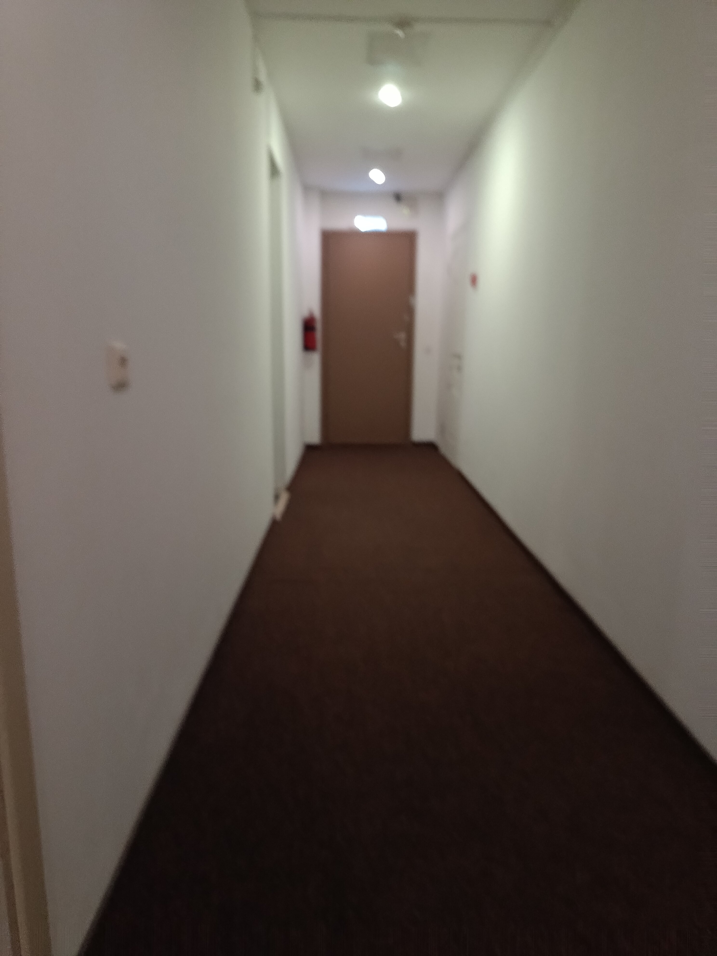 Фото Элефант