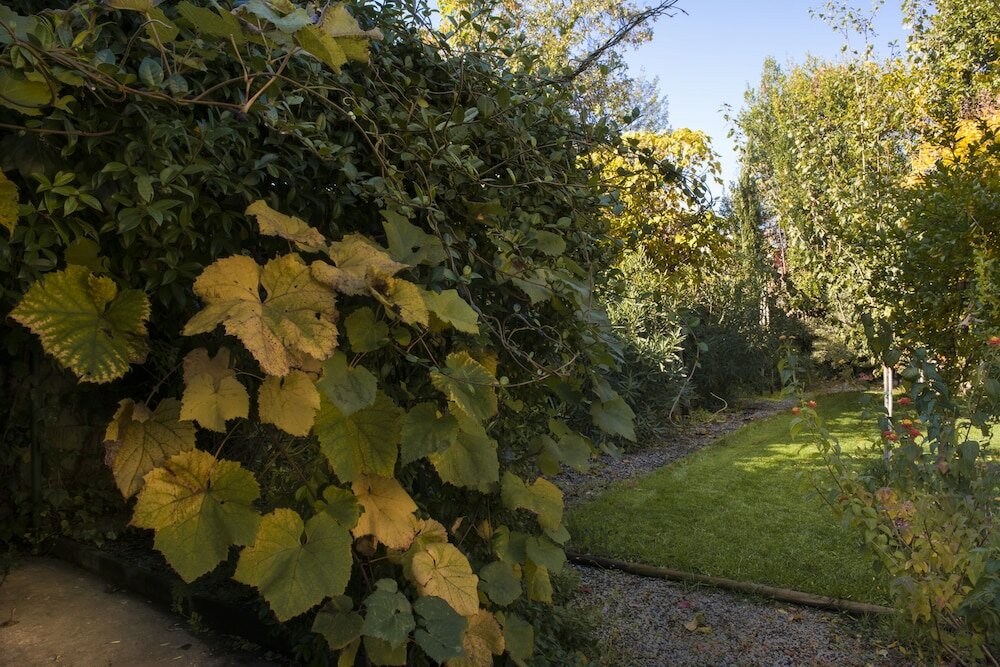 Фото Al Porto di Lucca B&b