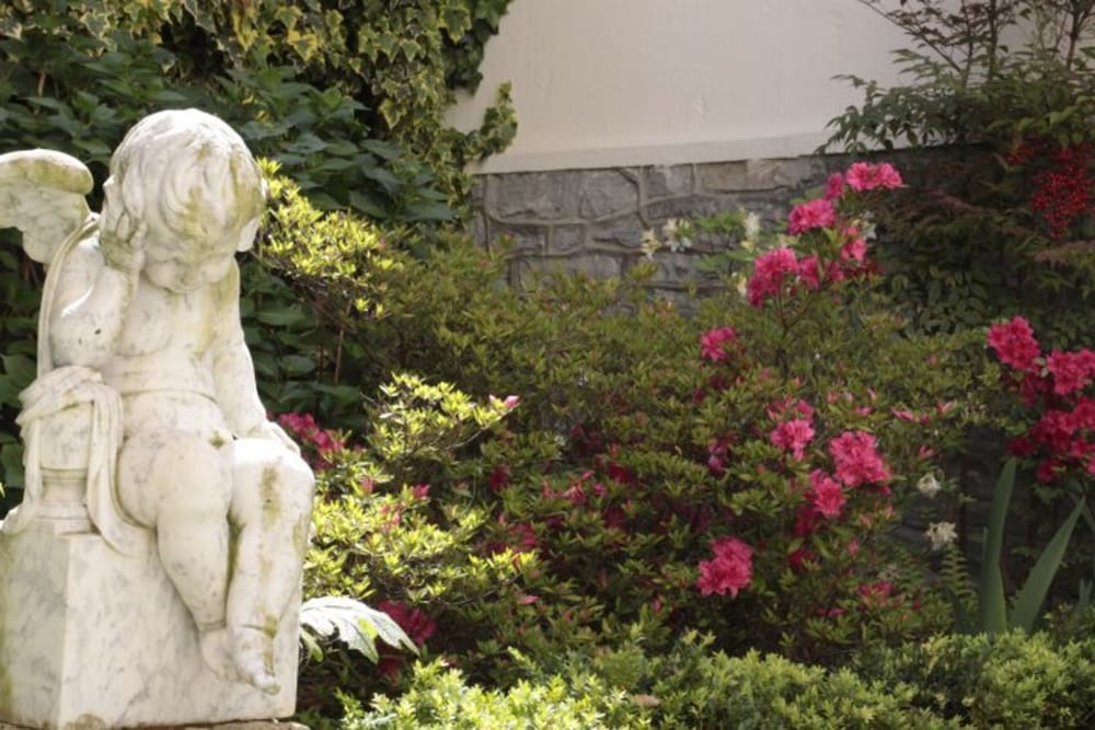 Фото Hotel Maitagaria