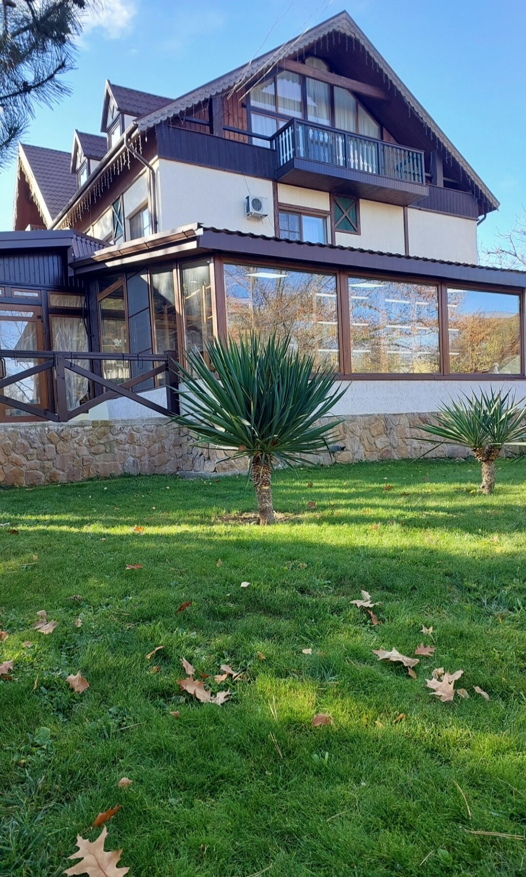 Фото Березки