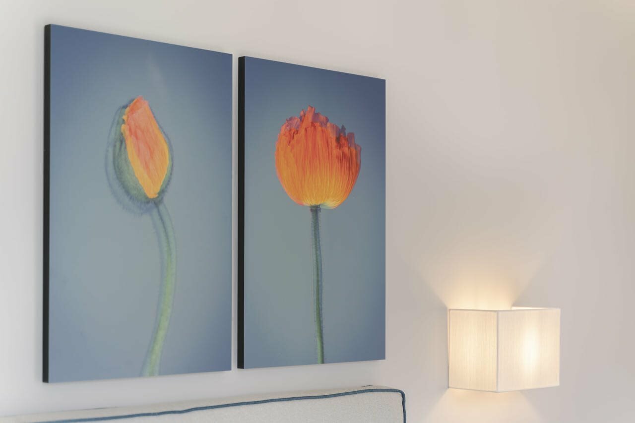 Фото Villa Neroli