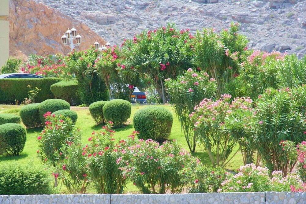 Фото Отель Атана Хасаб