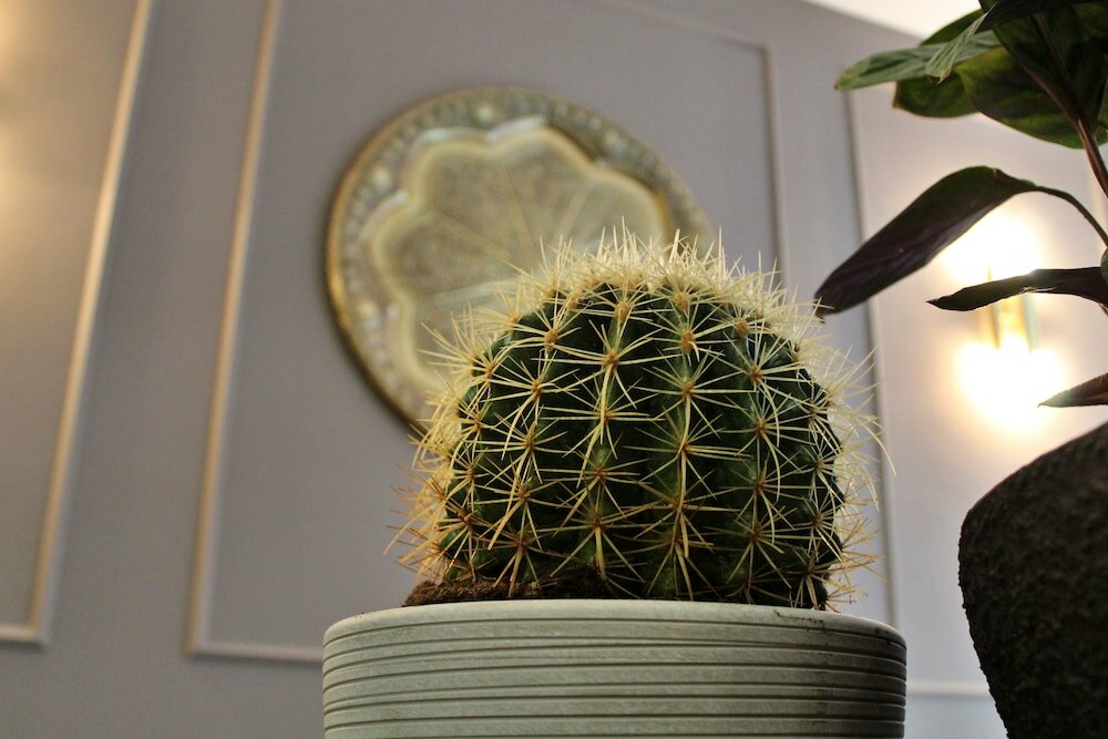 Фото Hotel Sahat