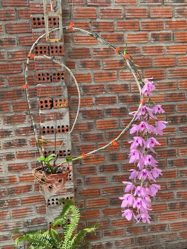 Фото Windbell Villa