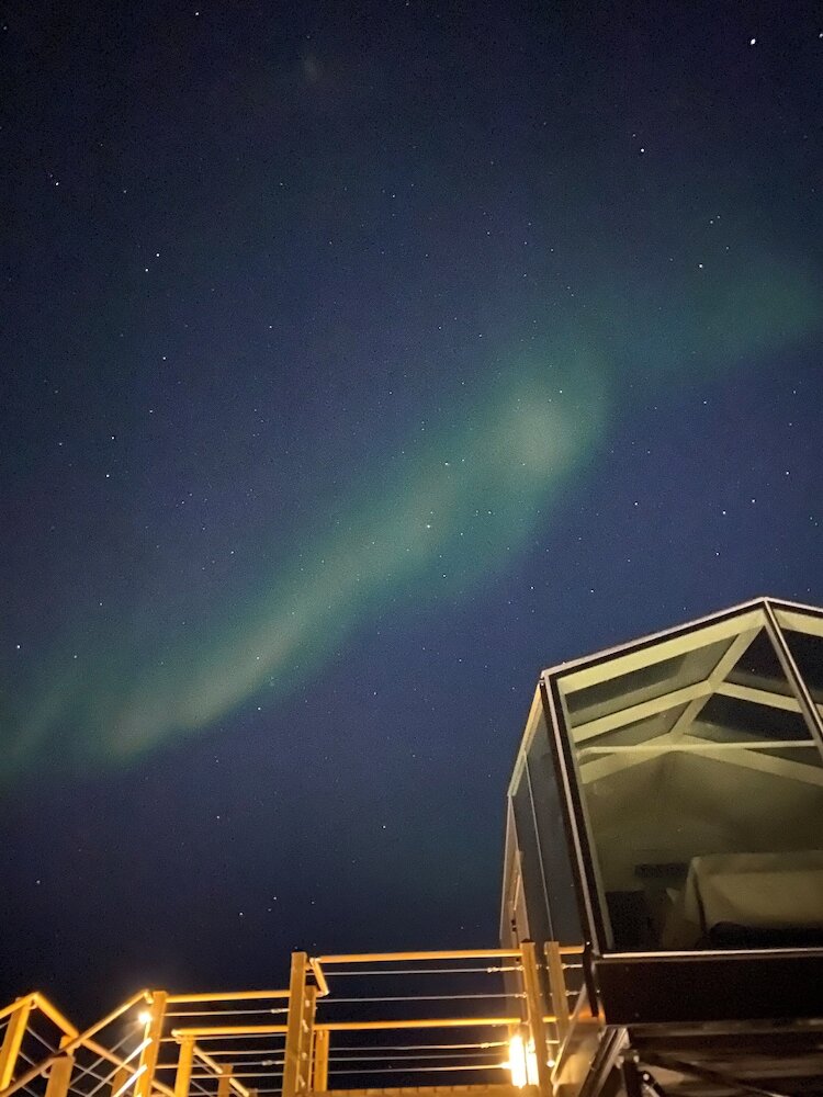 Фото Hotel Arctic