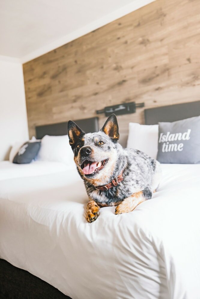 Фото The Hotel on Pownal