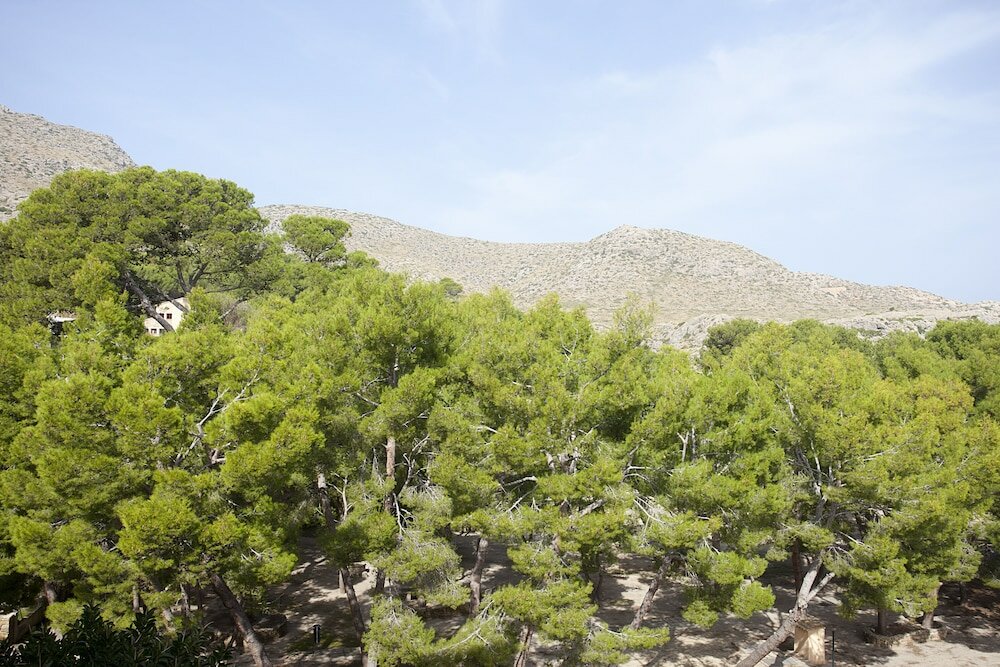 Фото Hotel Cala Sant Vicenç - Adults Only + 16