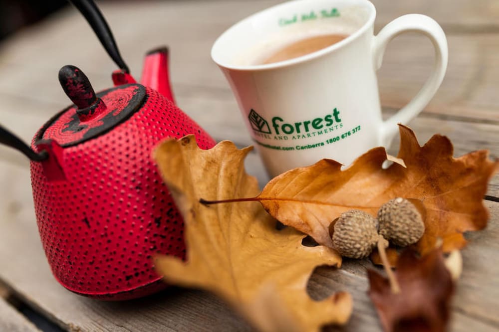 Фото Forrest Hotel and Apartments