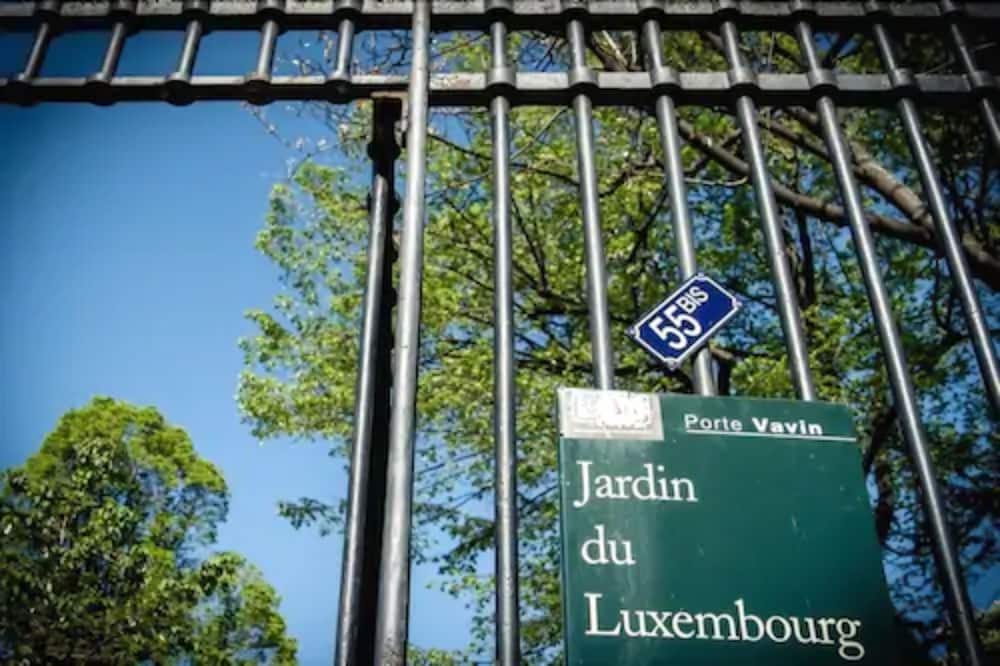 Фото Hotel Jardin Le Brea