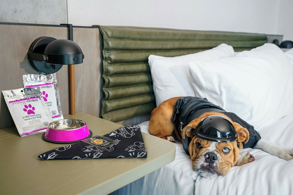 Фото Moxy Downtown Los Angeles