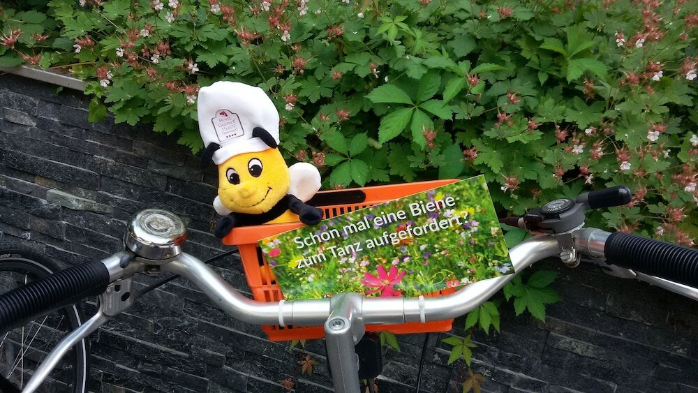 Фото Ringhotel Gasthof Hasen Herrenberg