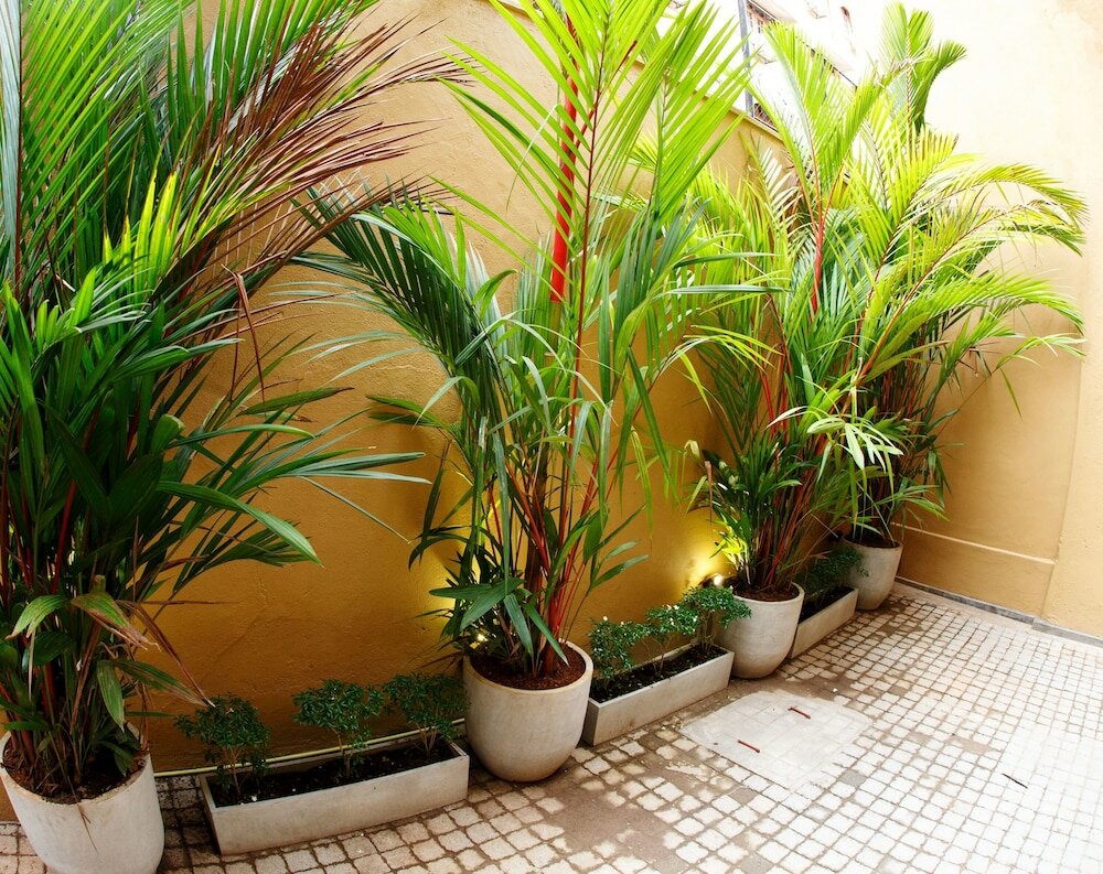 Фото CityRest Fort - Hostel