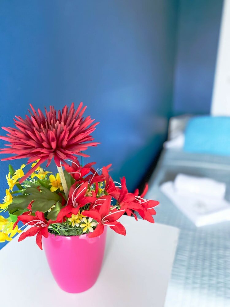 Фото B&B I Am Here - Gioia 66