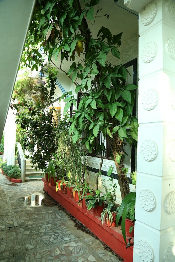 Фото Dream Catcher Home Stay