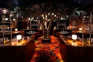 Гостиница Circa Resort & Casino