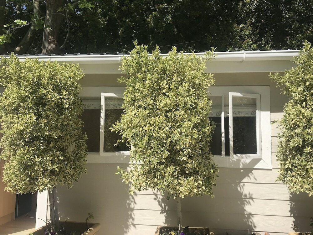 Фото Little House