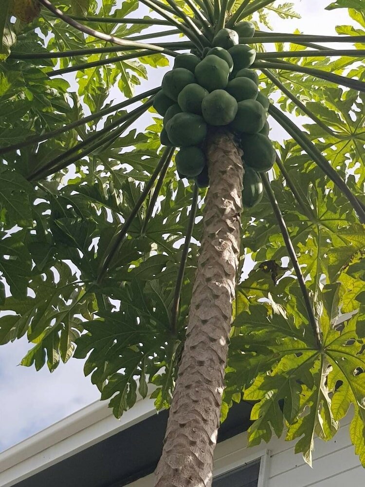 Фото Dayspring Lodge