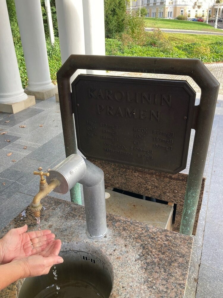 Фото Hotel Maxim