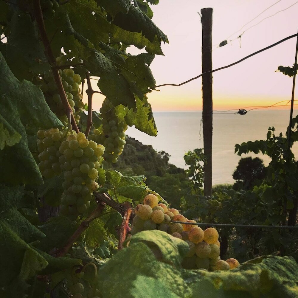 Фото Il Magàn - Cinque Terre