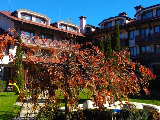 Фото Evelina Palace Hotel