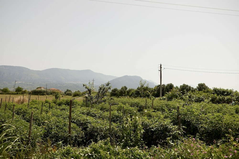 Фото Il Vecchio Frantoio