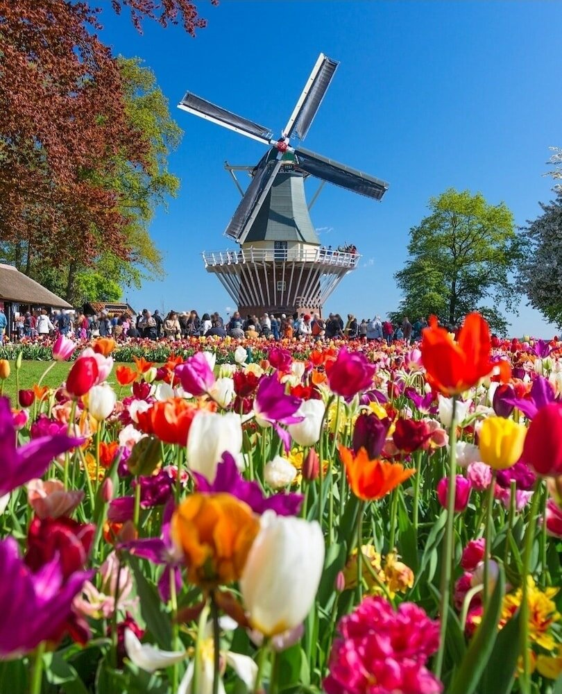 Фото Hotel de Koophandel