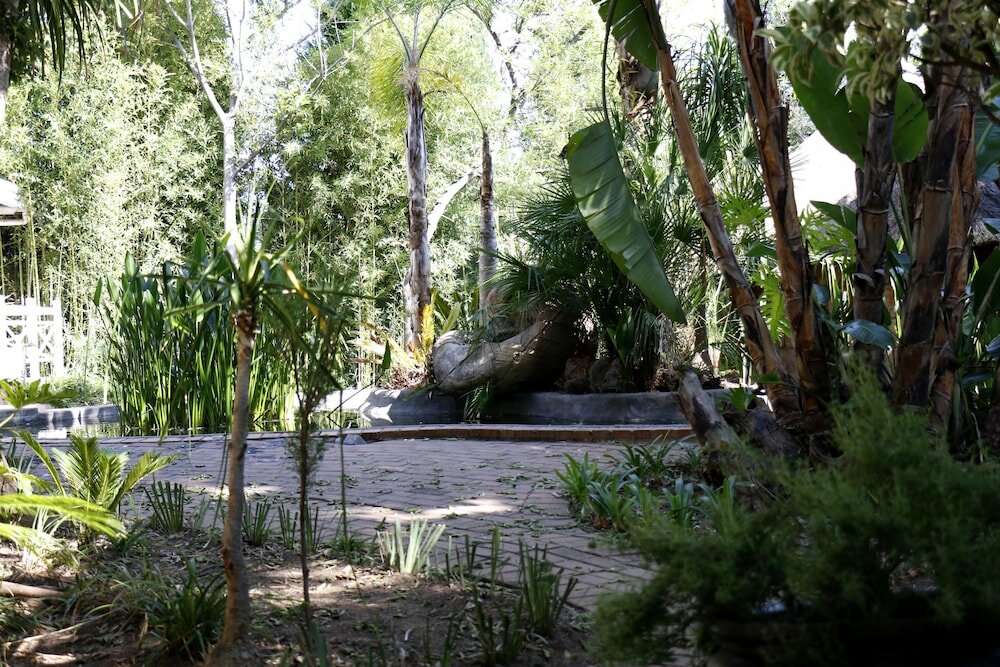 Фото Summerview Guest Lodge