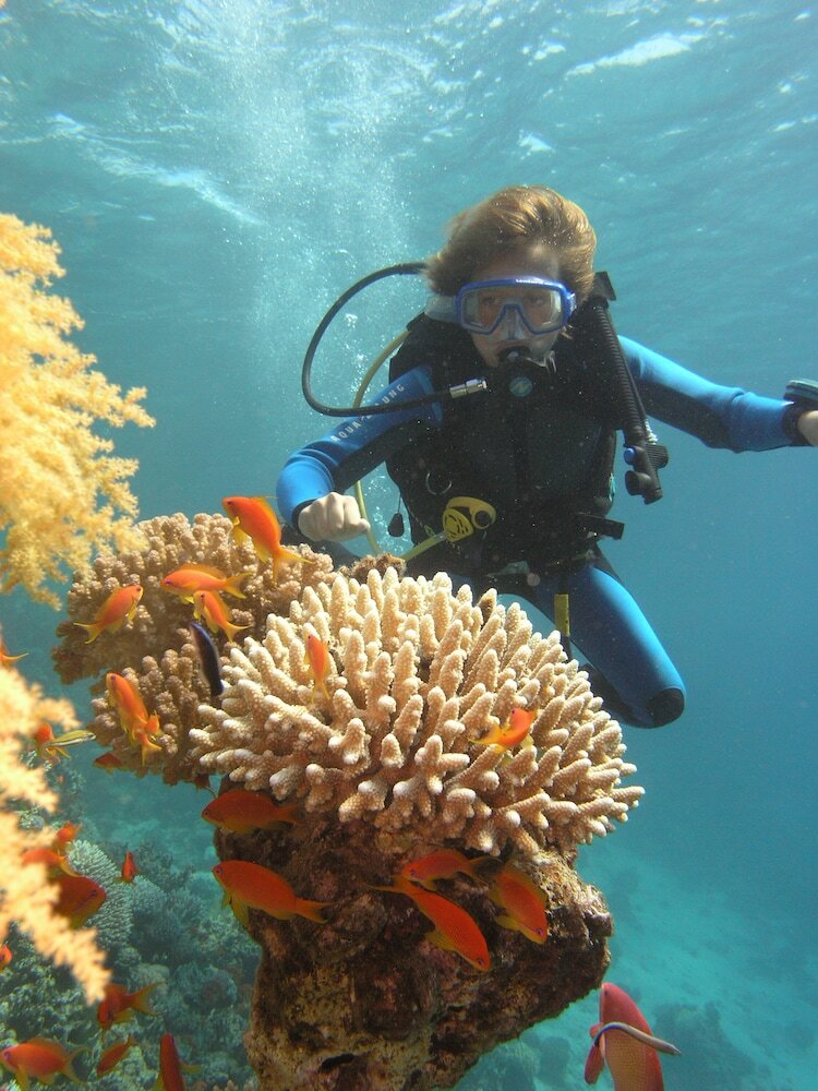 Фото Swiss Inn Resort Dahab