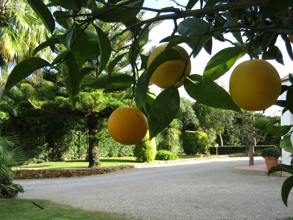 Фото Arenosu a pochi Km dalle spiagge