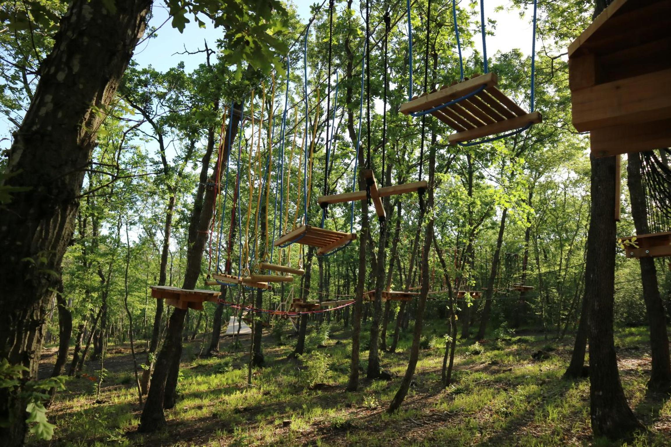 Фото Park hotel Bellevue