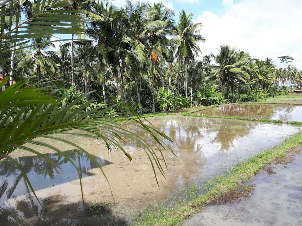 Фото Villa Kirani Ubud by Mahaputra-chse Certified