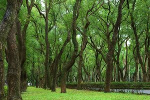 Гостиница Sonnien Hotel