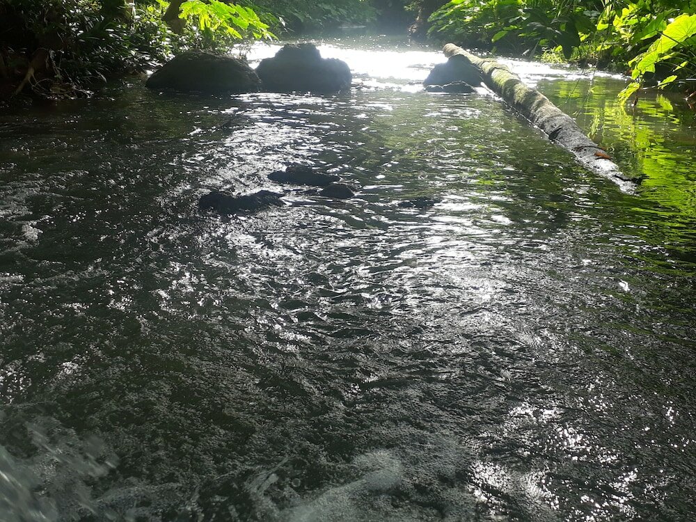 Фото Ui Bai Valley