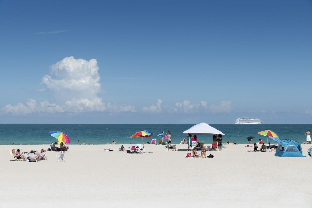 Фото The Penguin Hotel