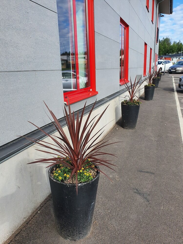 Фото Rasta Grums